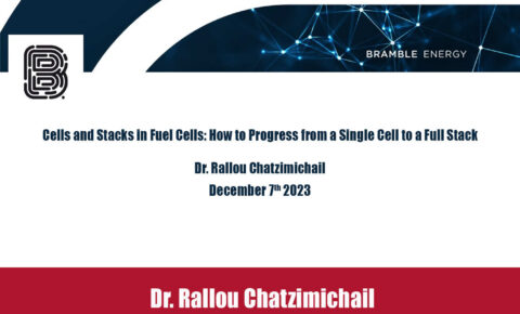 Dr-Rallou-Chatzimichail